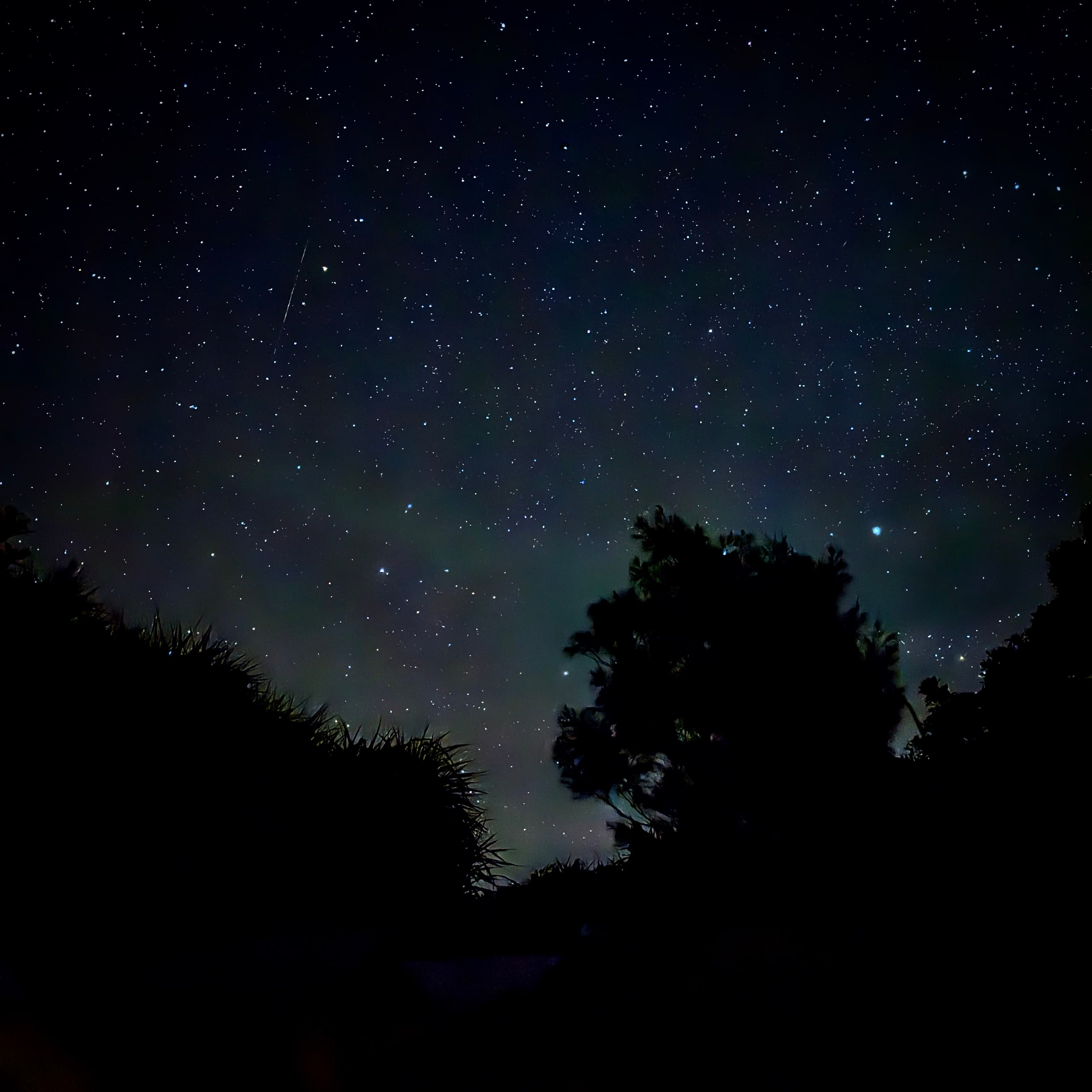 星空散策